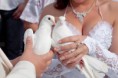 /album/photos/mariage-jpg/